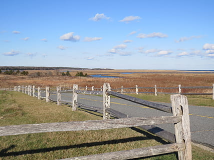 fallen, Ozean, truro, Cape Cod, Zaun, Straße, Fechten, Landschaft, Wildnis, natürlich, wild, draussen, Umgebung, szenisch, Land, Natur, ländliche Szene, Bauernhof, Feld, Landwirtschaft, Geländer, Himmel, Barriere, Grenze, Gras, Tag, wolke - himmel, keine Leute, ruhige Szene, Ruhe, Pflanze, Szenen - Natur, Schönheit in der Natur, Holz - Material, draußen, 4K, CC0, gemeinfrei, lizenzfrei
