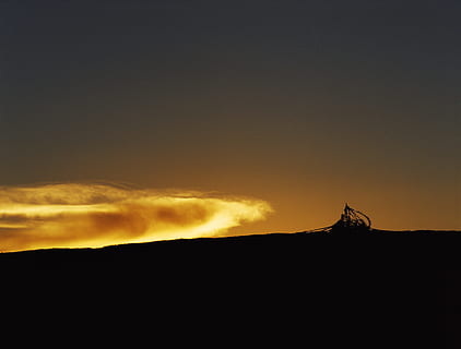 carta da parati giallastra, foto di silhouette, campo, d'oro, ghour, Budda, tramonto, crepuscolo, nube, collina, silhouette, natura, cielo, Paesaggi, all'aperto, paesaggio, nuvola - cielo, bellezza nella natura, scenics - natura, montagna, copia spazio, la tranquillità, nessuno, scena tranquilla, ambiente, maestoso, buio, animale, temi animali, 4K, CC0, dominio pubblico, privo di copyright
