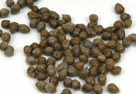 Kapern, Gemüse, Dressing, Grün, in Essig, Lebensmittel, weißer Hintergrund, große gruppe von gegenständen, Essen und Trinken, Kaffee trinken, Frische, braun, Stillleben, drinnen, Kaffee, High Angle View, Studioaufnahme, Nahansicht, keine Leute, Fülle, geröstete Kaffeebohne, Kaffeebohne, Wohlbefinden, trocken, Rohkost, Koffein, 2K, CC0, gemeinfrei, lizenzfrei