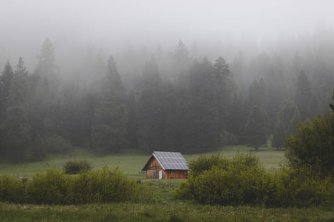 Marrone, nero, solare, casa del pannello, Casa, campo d'erba, alberi di pino, cabina, campo, albero, foresta, bosco, nebbia, nube, azienda agricola, solitudine, verde, solo, natura, all'aperto, fuori dalla griglia, lontano, Oregon, accogliente, caldo, pannello solare, pianta, terra, struttura costruita, ambiente, paesaggio, erba, esterno dell'edificio, scenics - natura, bellezza nella natura, architettura, nessuno, la tranquillità, costruzione, 5K, CC0, dominio pubblico, privo di copyright