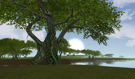 žaliasis lapelis, medžiai, medis, dangus, saulė, žalias, mėlyna, pobūdį, 3d, 3 dimensijos, lauke, žolė, vasara, augalų, vanduo, ramybė, vaizdai - gamta, grožis gamtoje, jūros, debesis - dangus, ramioje scenoje, žemės, papludimys, nėra žmonių, dieną, aplinką, žalia spalva, kelionės tikslai, 1080P, CC0, Viešasis domenas, nemokamai