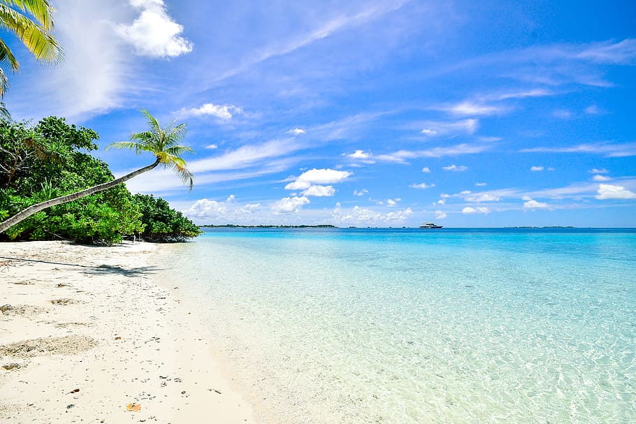 laut, langit, pantai, pasir, tenang, awan, idilis, samudra, pohon-pohon palem, diam, resor, pemandangan, indah, pemandangan laut, pantai laut, pohon, liburan, air, tanah, iklim tropis, keindahan di alam, scenics - alam, ketenangan, adegan yang tenang, pohon palem, awan - langit, menanam, alam, perjalanan, cakrawala di atas air, tidak ada orang, berwarna pirus, di luar rumah, pohon kelapa, pohon tropis, laguna, tahiti, 4K