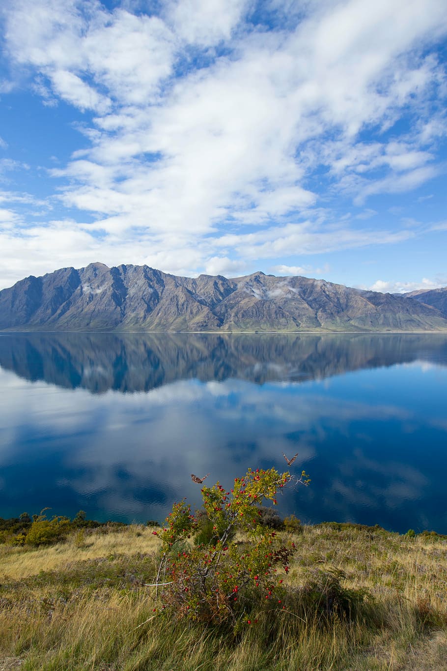 fotografia de paisatge, llac, serres, foto, muntanya, reflectint, aigua, blau, cel, núvols, paisatge, naturalesa, reflexió, verd, herba, a l'aire lliure, escenics, Serra, núvol - cel, bellesa a la natura, cap gent, escenics - natura, escena tranquil·la, tranquil·litat, escena no urbana, dia, medi ambient, idíl·lic, planta, remot, 4K