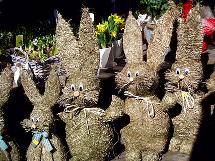 Pasqua, conill, conill de Pasqua, palla, Pasqua, conill, cap gent, a l'aire lliure, dia, ocell, primer pla, temes d'animals, llum solar, vertebrats, naturalesa, animal, grup d’animals, vista d’angle alt, fauna animal, material de fusta, mamífer, art i artesania, planta, a la venda, mercat, creativitat, 4K, CC0, domini públic, lliure de regalies