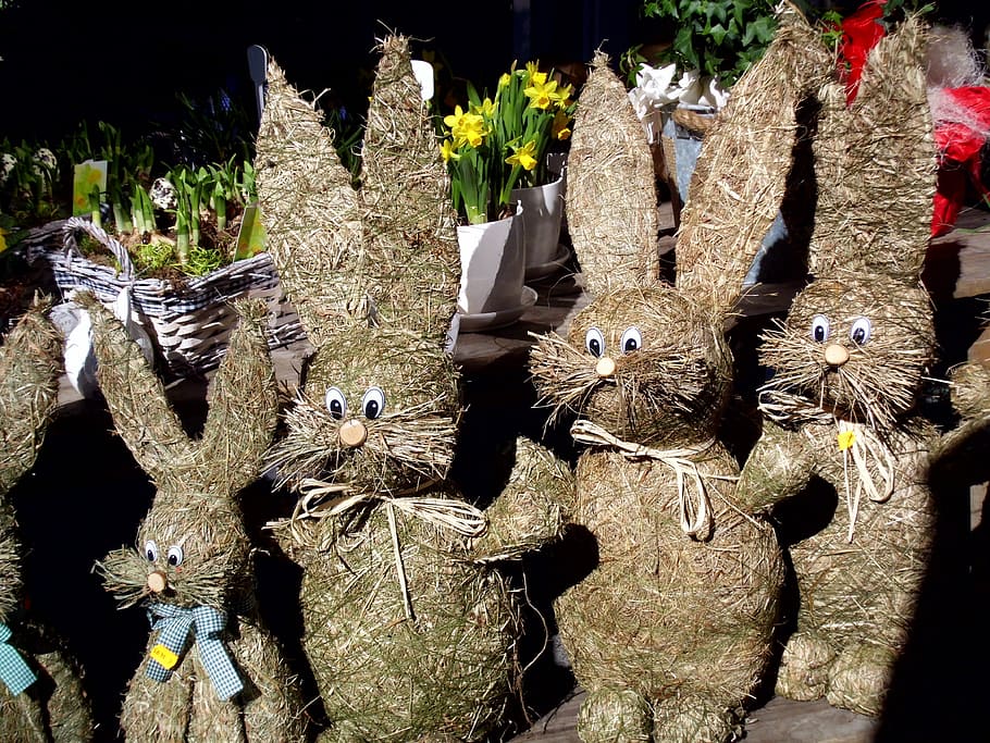 Pasqua, conill, conill de Pasqua, palla, Pasqua, conill, cap gent, a l'aire lliure, dia, ocell, primer pla, temes d'animals, llum solar, vertebrats, naturalesa, animal, grup d’animals, vista d’angle alt, fauna animal, material de fusta, mamífer, art i artesania, planta, a la venda, mercat, creativitat, 4K