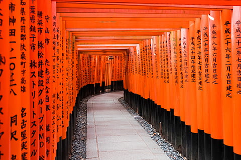 Orange, schwarz, Papierdekore, tagsüber, Foto, Innerhalb, Gebäude, Pfad, Tunnel, Weg, Japan, Tempel, rot, orange Farbe, die Architektur, Anbetungsstätte, Religion, Glauben, gebaute Struktur, Spiritualität, architektonische Säule, Fußweg, der Weg nach vorn, Richtung, abnehmende Perspektive, Schrein, in einer Reihe, nicht-westliche Schrift, keine Leute, 5K, CC0, gemeinfrei, lizenzfrei