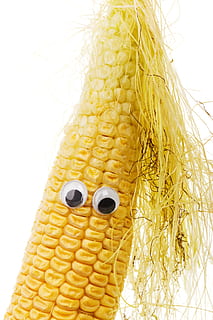 character, corn, corncob, cute, diet, eye, face, food, funny, happy, isolated, maize, vegetable, yellow, white background, close-up, studio shot, indoors, still life, no people, representation, anthropomorphic, string, hair, body part, human representation, creativity, anthropomorphic face, nature, single object, hairstyle, 1080P, CC0, public domain, royalty free