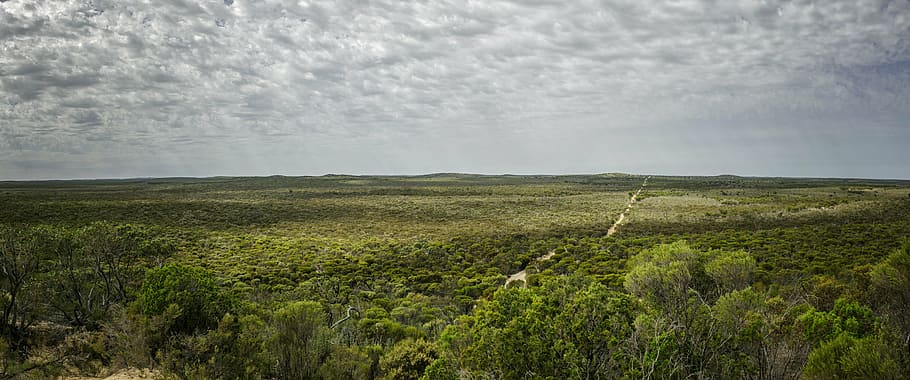 landskapsfotografering, grønn, felt, spor, rett, linje, sti, utendørs, vei, reise, retning, utsikt, vegetasjon, grusvei, landskap, horisont, fjern, skyer, overskyet, stråler, sollys, gjennom, villmark, natur, tre, himmel, miljø, land, anlegg, vekst, jordbruk, landlige scene, skjønnhet i naturen, ro, rolig scene, naturskjønnhet - natur, sky - himmel, grønn farge, ingen folk, dag, gress, regn, 8K