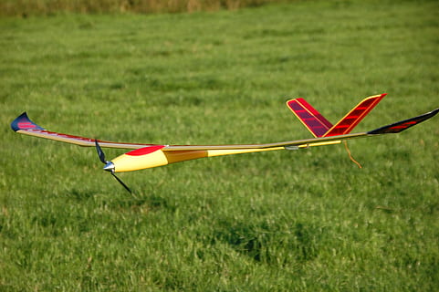 model d’avió, pasatemps, model, controlat remotament, model de vol, herba, color verd, cap gent, vermell, bandera, esport, planta, terra, camp, naturalesa, dia, centrar-se en primer pla, a l'aire lliure, joguina, multicolor, medi ambient, primer pla, cometa - joguina, creixement, creativitat, llum solar, 2K, CC0, domini públic, lliure de regalies