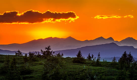 bakke, træer, græsser, skyer, solnedgang, landskab, bjerge, natur, sol, horisont, himmel, ray, rød, mørk, lys, silhuet, sort, orange, baggrund, gul, dramatisk, naturlig, drøm, solopgang, glød, farvet, smuk, farve, bjerg, scenics, bjergkæde, udendørs, ingen mennesker, træ, skønhed i naturen, scenics - natur, sky - himmel, plante, miljø, jord, ro, rolig scene, Skov, rejsemål, fyrretræ, bjergtop, fyrreskov, 5K, CC0, offentligt domæne, royaltyfrie