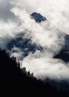 Silhouette Fotografie, Berg, bedeckt, Nebel, tief liegend, Wolken, tagsüber, Wolkengebilde, Landschaftsschichten, Landschaft, Schwarz und weiß, launisch, wolkig, Wolke, Vertikale, Baum, Wald, Pazifischer Nordwesten, Washington, nebelig, neblig, Gipfel, reisen, Pflanze, Schönheit in der Natur, Ruhe, ruhige Szene, Szenen - Natur, Himmel, keine Leute, Natur, wolke - himmel, Land, Flachwinkelansicht, Wachstum, Tag, Nicht-städtische Szene, draußen, Kiefer, Nadelbaum, 5K, CC0, gemeinfrei, lizenzfrei