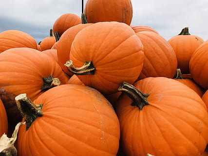 stos dyni, dynia, spadek, jesień, Pomarańczowy, październik, halloween, wakacje, żniwa, święto Dziękczynienia, pora roku, warzywo, jedzenie, sezonowy, Natura, liść, kolor pomarańczowy, jedzenie i picie, zdrowe odżywianie, dobre samopoczucie, świeżość, żadnych ludzi, dzień, duża grupa obiektów, obfitość, uroczystość, na dworze, zbliżenie, surowe jedzenie, martwa natura, organiczny, dojrzały, jedzenie wegetariańskie, 4K, CC0, domena publiczna, darmowe zdjęcia