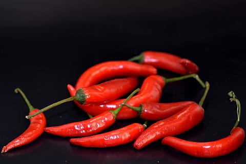 Chili, membumbui, cabe rawit, lada, sayur-mayur, Capsicum, merah, tajam, rempah-rempah, makro, bahan, makanan, makanan dan minuman, cabai, cabai merah, kesejahteraan, kesegaran, makan sehat, tembakan studio, merica - sayur, latar belakang hitam, organik, merapatkan, tidak ada orang, warna cerah, suhu panas, Makanan vegetarian, matang, 5K, CC0, domain publik, bebas royalti