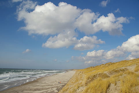 strand, klitter, Danmark, himmel, hav, sky - himmel, vand, jord, scenics - natur, skønhed i naturen, horisont, ro, horisont over vand, rolig scene, natur, dag, sand, ikke-urbane scene, ingen mennesker, bevægelse, udendørs, marram græs, 2K, CC0, offentligt domæne, royaltyfrie