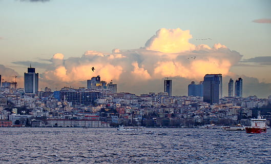 gall dindi, bosphorus, estret, Istanbul, pont, canal, vaixell, Mar Negre, núvols, mar, aigua, la turquie, le dé troit du bosphore, dé troit, Le navire, la mer noire, les nuages, la mer, l'eau, el pilot, pilot, bateau-pilote, piloto de barco, mesquita blava, posta de sol, paisatge urbà, Turquia - Orient Mitjà, horitzó urbà, lloc famós, arquitectura, exterior de l'edifici, estructura construïda, ciutat, cel, edifici, núvol - cel, exterior d’edifici d’oficines, naturalesa, paisatge, gratacels, cap gent, barri residencial, vida de ciutat, alta - alta, a l'aire lliure, modern, districte financer, 2K, CC0, domini públic, lliure de regalies