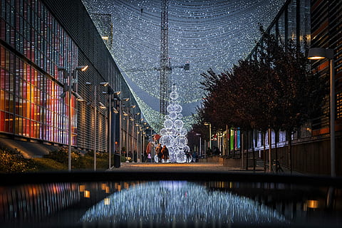 fotografia di luci, Due, persona, a piedi, costruzione, alberi, ore notturne, luci, notte, riflessione, Natale, albero di Natale, albero, pianta, architettura, struttura costruita, decorazione, natura, illuminato, esterno dell'edificio, luci di Natale, celebrazione, decorazione natalizia, acqua, città, inverno, cielo, canale, 4K, CC0, dominio pubblico, privo di copyright