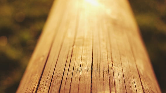 Busteni de arbori maro, lemn, textură, în ceață, raza de soare, lemn - material, a închide, nici o persoana, să se concentreze asupra primelor elemente, zi, natură, selectiv, în aer liber, texturată, scândură, copac, model, lumina soarelui, plantă, rumegus, maro, un singur obiect, stare brută, vedere în unghi mare, post de lemn, 1080P, CC0, domeniu public, fără drepturi de autor