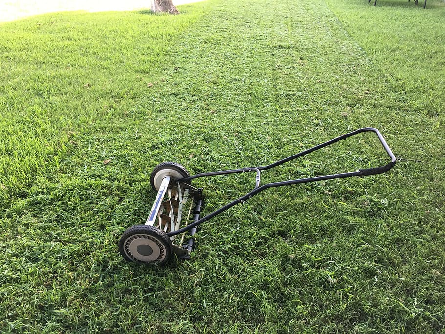 zwart, kooimaaier, groen, grasveld, gazon, grasmaaier, groen gras, maaier, gras, tuin-, gras maaien, tuinieren, zorg, achtererf, werf, besnoeiing, tuinman, maaien, onderhoud, werk, uitrusting, machine, zomer, buitenshuis, natuur, snijder, trimmen, motor, man, baan, elektrisch, service, de lente, landscaping, veld-, Duwen, gereedschap, grond, technologie, groei, werkend, groene kleur, geen mensen, dag, fabriek, land-, hoge hoekmening, fiets, vervoer, wiel, landschap, landvoertuig, afwezigheid, metaal, wijze van transport, 4K