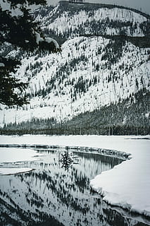 fotografia in scala di grigi, alberi di pino, coperto, la neve, giorno, terreno innevato, ruscello, quasi, brina, montagna, foresta, inverno, acqua, riflessione, albero, Parco Nazionale, Yellowstone, temperatura fredda, la tranquillità, scenics - natura, bellezza nella natura, pianta, scena tranquilla, natura, lago, nessuno, Colore bianco, congelato, copertura, all'aperto, montagna innevata, 4K, CC0, dominio pubblico, privo di copyright