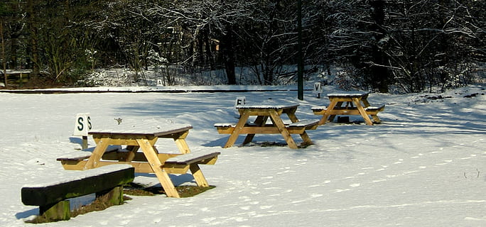 mesas de picnic, invierno, nieve, temperatura fría, árbol, asiento, naturaleza, planta, banco, nadie, día, tierra, material de madera, el color blanco, mamífero, campo, congelado, animal, tranquilidad, al aire libre, clima extremo, 1080P, CC0, dominio público, libre de derechos