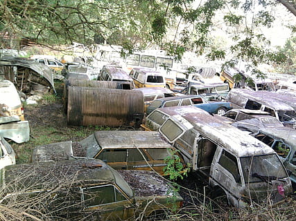 rent a car, junkyard, rust, abandoned, tree, damaged, obsolete, plant, day, run-down, decline, bad condition, deterioration, no people, old, nature, broken, land, destruction, ruined, outdoors, environmental issues, garbage, pollution, 1080P, CC0, public domain, royalty free