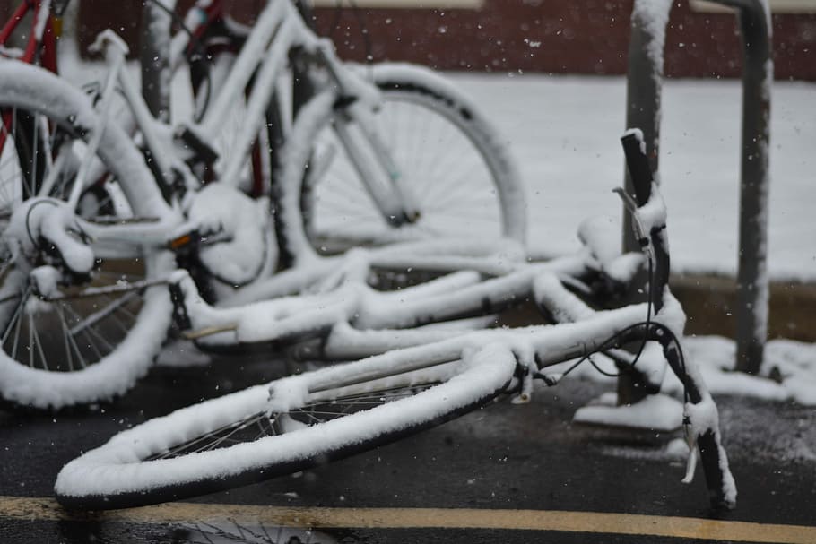 dos, neu, cobert, bicicleta, carrer, negre, bicicletes, hivern, fred, temperatura de fred, vehicle terrestre, transport, dia, cap gent, manera de transport, estacionari, Color blanc, naturalesa, cobertura, a l'aire lliure, centrar-se en primer pla, congelat, primer pla, ciutat, roda, nevar, va parlar, 4K
