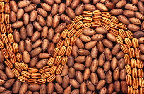 pecannoten, geschild, pit, voedsel, moer, bruin, gezond, helften, natuurlijk, eetbaar, geroosterd, voeding, vitaminen, landbouw, lekker, koken, ingrediënt, gepeld, vers, taart, eten en drinken, grote groep objecten, gezond eten, welzijn, overvloed, versheid, detailopname, moer - eten, achtergronden, volledig kader, geen mensen, variatie, keuze, binnenshuis, biologisch, zaad, amandel, vegetarisch eten, tussendoortje, 1080P, CC0, publiek domein, royaltyvrij
