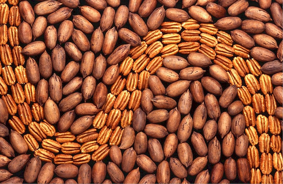pecanes, bombardejat, nucli, menjar, nou, marró, saludable, meitats, natural, comestible, torrat, nutrició, vitamines, agricultura, saborós, cuinar, ingredient, casat, pelat, fresc, pastís, menjar i beguda, gran grup d'objectes, alimentació saludable, benestar, abundància, frescor, primer pla, nou - aliments, fons, marc complet, cap gent, variació, elecció, a l'interior, orgànic, llavor, ametlla, menjar vegetarià, berenar, 1080P