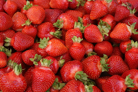 Erdbeere, rot, Obst, rote Erdbeeren, rote erdbeererde, reife Frucht, Süss, Lebensmittel, Frische, reif, organisch, Gourmet, Natur, Beerenfrucht, Dessert, gesundes Essen, Sommer-, Essen und Trinken, Wohlbefinden, Fülle, große gruppe von gegenständen, Vollbild, Hintergründe, keine Leute, Nahansicht, Stillleben, saftig, Markt, zu verkaufen, 4K, CC0, gemeinfrei, lizenzfrei