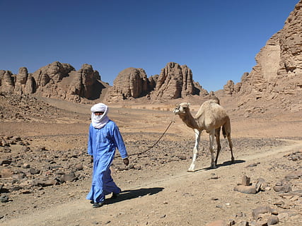 algeria, deşert, dromader, cămilă, oameni, desertul Sahara, o persoana, lumina soarelui, mamifer, cer, natură, albastru, animale domestice, cer senin, teren, lungime totală, climat, un animal, arid clima, nisip, zi, 2K, CC0, domeniu public, fără drepturi de autor