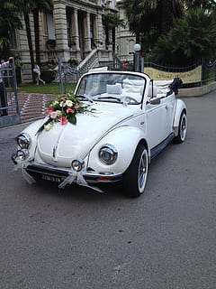 oldtimer, vw beetle, vehicle, automoció, casament, blanc, automàtic, cotxe, transport, passat de moda, convertible, vehicle terrestre, estil retro, clàssic, crom, manera de transport, automòbil, ciutat, carrer, arquitectura, exterior de l'edifici, carretera, estructura construïda, dia, persones incidentals, planta, cotxe d'època, edifici, estacionari, aparcament, luxe, color plata, 2K, CC0, domini públic, lliure de regalies