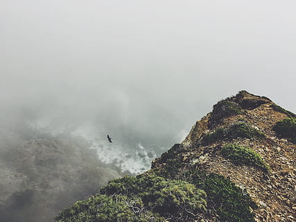muntanya, cobert, boira, superior, pic, cim, rocós, pedregós, naturalesa, vegetació, empinada, vertical, animal, ocell, àguila, raptor, depredador, a l'aire lliure, senderisme, alpinisme, bellesa a la natura, dia, escenics - natura, cel, escena no urbana, rock, escena tranquil·la, planta, núvol - cel, còpia espai, cap gent, terra, aventura, rock - object, vista d’angle alt, tranquil·litat, 2K, CC0, domini públic, lliure de regalies