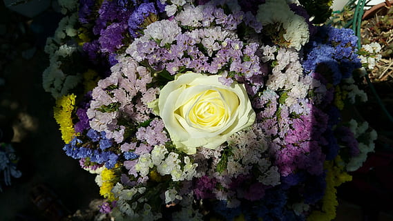 las flores, colores, blanco, Violeta, amarillo, flor, ramo de flores, primavera, Rosa, color, naturaleza, vistoso, color morado, flores de verano, ramos de flores, rosado, Flores de primavera, Flores coloridas, flor rosa, planta floreciendo, planta, fragilidad, vulnerabilidad, frescura, belleza en la naturaleza, de cerca, cabeza de flor, pétalo, inflorescencia, arreglo floral, multi color, crecimiento, nadie, día, al aire libre, púrpura, racimo de flores, 2K, CC0, dominio público, libre de derechos