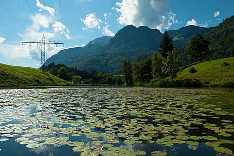 austria, fjellene, scenisk, dal, skog, trær, skogen, sommer, vår, innsjø, vann, refleksjoner, natur, utenfor, lilje pads, fjell, landskap, utendørs, fjellkjede, himmel, skjønnhet i naturen, sky - himmel, naturskjønnhet - natur, ro, rolig scene, anlegg, dag, ingen folk, ikke-urbane scene, vekst, flytende, vannkanten, fjern, flyter på vann, 2K, CC0, offentlig domene, opphavsrett gratis