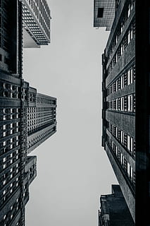worm, eye view, city buildings, grayscale photography, buildings, building, skyscraper, tower, block, concrete, structure, building exterior, built structure, architecture, city, sky, no people, nature, tall - high, residential district, office building exterior, low angle view, day, outdoors, clear sky, office, directly below, window, place, location, financial district, 5K, CC0, public domain, royalty free