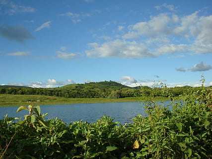 estany, rural, uiraúna-pb, cel, aigua, bellesa a la natura, escenics - natura, planta, escena tranquil·la, tranquil·litat, núvol - cel, creixement, naturalesa, arbre, color verd, dia, cap gent, escena no urbana, terra, mar, idíl·lic, a l'aire lliure, 4K, CC0, domini públic, lliure de regalies