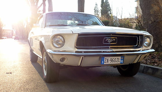 hvid, ford mustang, træ, auto, mustang, maskine, vej, bybilledet, rejse, bilist, bil, årgang, vintage bil, forlygte, gammeldags, forfra, transportmidler, retro stylet, transportform, motor køretøj, land køretøj, dag, natur, sollys, stationær, by, gade, plante, ingen mennesker, udendørs, luksus, 2K, CC0, offentligt domæne, royaltyfrie