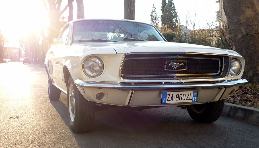 blanc, ford mustang, arbre, automàtic, Mustang, màquina, carretera, paisatge urbà, viatge, motorista, cotxe, vintage, cotxe d'època, faro, passat de moda, vista frontal, transport, estil retro, manera de transport, automòbil, vehicle terrestre, dia, naturalesa, llum solar, estacionari, ciutat, carrer, planta, cap gent, a l'aire lliure, luxe, 2K
