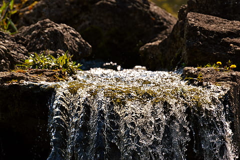 acqua, bach, natura, foresta, muschio, paesaggio, flusso, chiaro, roccia, pietra, torrente, cristallino, acqua corrente, acque, mormorio, roccia - oggetto, solido, nessuno, bellezza nella natura, movimento, giorno, avvicinamento, concentrarsi sulle conoscenze acquisite, all'aperto, pianta, luce del sole, terra, albero, spruzzi, fluente, purezza, acqua che cade, 5K, CC0, dominio pubblico, privo di copyright