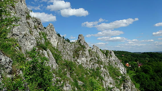 klipper, kalksten, vandring, landskab, natur, Polen, turisme, jura krakowsko częstochowa, top, tur, bjerg, Skov, sommer, rock-objekt, udendørs, træ, scenics, plante, himmel, klippe, scenics - natur, skønhed i naturen, miljø, solid, aktivitet, sky - himmel, jord, eventyr, rejsemål, ikke-urbane scene, dag, rejse, bjergkæde, formation, 4K, CC0, offentligt domæne, royaltyfrie