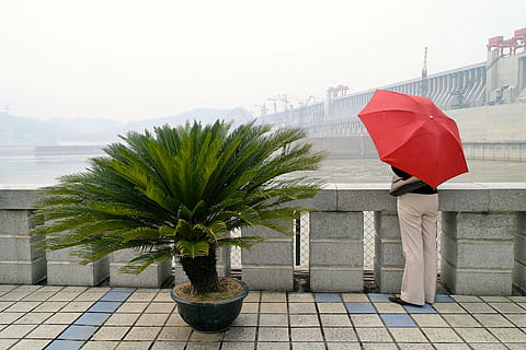 rot, Bildschirm, Damm, Pflanze, Schattenbaum, Sonnenschirm, Schutz, Regenschirm, Natur, eine Person, Sicherheit, Fußweg, Erwachsene, Tag, in voller Länge, Stehen, Stadt, Himmel, Baum, halten, die Architektur, Rückansicht, draußen, Regen, verdecktes Gesicht, 2K, CC0, gemeinfrei, lizenzfrei