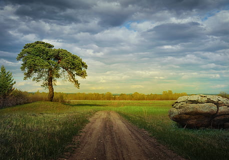 braun, Schotterstraße, Grün, Felder, Wald, Landschaft, Natur, Sommer-, Himmel, Kiefer, Straße, Stein, wolkig, Schönheit, Freizeit, Reise, Gras, Pflanze, wolke - himmel, Baum, der Weg nach vorn, ruhige Szene, Ruhe, Land, Richtung, Schönheit in der Natur, Feld, Szenen - Natur, Umgebung, keine Leute, Wachstum, Schmutz, abnehmende Perspektive, draußen, lange, 4K, CC0, gemeinfrei, lizenzfrei