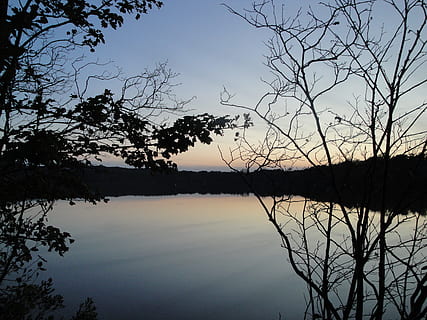 Sonnenuntergang, Sonnenaufgang, Landschaft, Sommer-, Sonnenlicht, Dämmerung, Strand, Jahreszeit, dom, Licht, Horizont, Abend, Sonnenschein, sonnig, szenisch, Szene, idyllisch, Aussicht, hell, dramatisch, friedlich, lebendig, seelandschaft, Küste, glühen, Strahl, Gelassenheit, beschwingt, Reflexion, Atmosphäre, Himmel, Cape Cod, Scargo, Natur, Baum, See, Wasser, ruhige Szene, szenen, draußen, Silhouette, keine Leute, Ruhe, Schönheit in der Natur, Szenen - Natur, Pflanze, Ast, Nicht-städtische Szene, kahler Baum, Reflexionssee, 4K, CC0, gemeinfrei, lizenzfrei