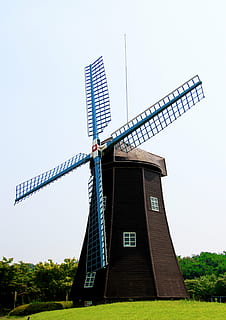 ruda, mėlyna, švyturys, žalias, žolė, vėjo malūnas, Olandija, energijos, Šalis, derliaus, peizažas, turizmą, ūkis, europos, pobūdį, lauke, vanduo, architektūra, kultūrą, vėjas, istorinis, orientyras, būdinga, Europa, kelionė, kraštovaizdį, kaime, pavasaris, kaimo, senas, dangus, Nyderlandai, tradicinis, olandų, malūnas, kanalas, aplinką, pastatas, Žemdirbystė, garsus, istorija, vasara, muziejus, tradicija, scenoje, kaimiškas, medinis, retro, Kalėdos, šventė, apdaila, šventinis, skaičius, statulėlės, Senovinis, gimimo, ornamentas, sezoninis, ženklas, simbolis, kaimas, melchioras, Vėjo turbina, vėjo energija, atsinaujinanti energija, Alternatyvi energija, turbina, kuro ir energijos gamyba, aplinkos apsauga, tradicinis vėjo malūnas, pastatyta struktūra, švarus dangus, augalų, nėra žmonių, žemas kampo vaizdas, medis, tvarius išteklius, 4K, CC0, Viešasis domenas, nemokamai
