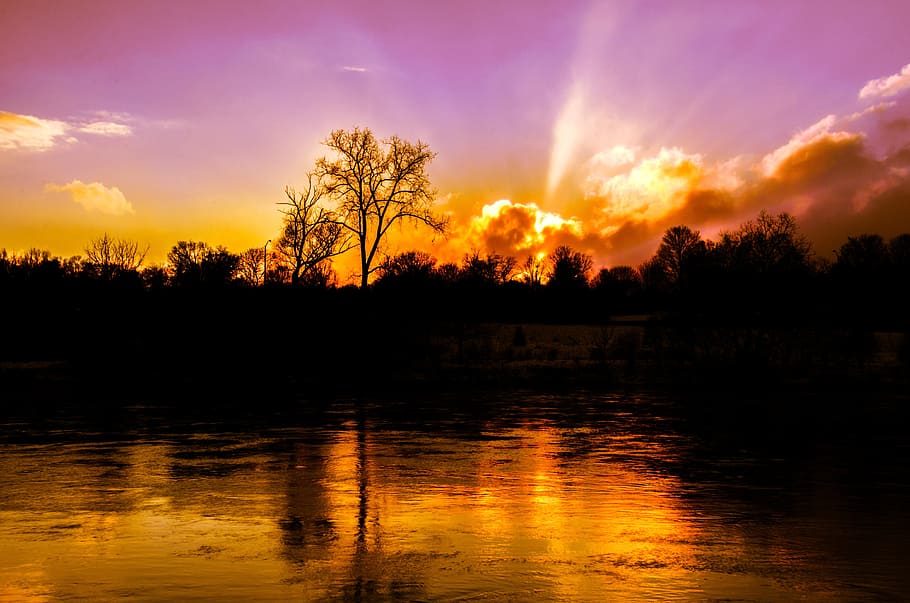 silhouette, alberi, corpo, acqua, tramonto, crepuscolo, luce del sole, sera, luce soffusa, notturno, riflessione, nube, natura, paesaggio, scenario, albero, lago, d'oro, viola, cielo, bellezza nella natura, la tranquillità, scenics - natura, pianta, nuvola - cielo, scena tranquilla, colore arancione, nessuno, ambiente, idilliaco, scena non urbana, sole, all'aperto, 4K