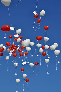 nebe, balóny, modrý, balón, oslava, velká skupina objektů, balon helia, společenská akce, nízký úhel pohledu, nikdo, létající, vícebarevné, den, Příroda, dekorace, střední vzduch, Červené, čisté nebe, variace, křehkost, venku, zranitelnost, hélium, festival, 4K, CC0, veřejná doména, bez autorských práv