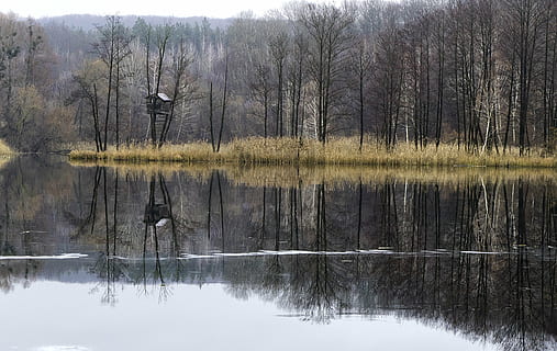 riu, refugi, naturalesa, arbres, paisatge, bosc, casa de camp, arbre, aigua, reflexió, tranquil·litat, planta, llac, davant del mar, bellesa a la natura, escena tranquil·la, cap gent, escenics - natura, escena no urbana, dia, arbre nu, terra, a l'aire lliure, simetria, llac de reflexió, 5K, CC0, domini públic, lliure de regalies