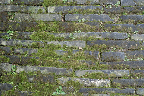 ground, brick, moss, full frame, backgrounds, wall, no people, wall - building feature, architecture, solid, pattern, textured, built structure, day, stone wall, weathered, stone material, rough, old, outdoors, staircase, close-up, concrete, 4K, CC0, public domain, royalty free