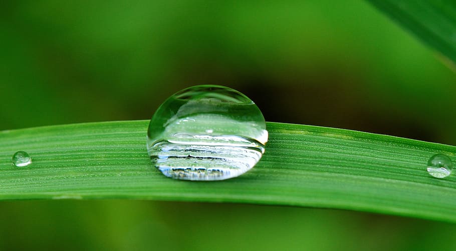 avvicinamento, foto, rugiada dell'acqua, foglia, far cadere, acqua, erba, pioggia, natura, bagnato, autunno, pianta, piovere, umidità, umido, piovoso, fluido, verde, irrigazione, colore verde, parte vegetale, nessuno, purezza, rugiada, sfera, freschezza, bellezza nella natura, macro, vulnerabilità, primo piano estremo, riflessione, all'aperto, filo d'erba, 2K