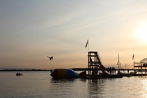 flyvningen, Baldwin, vand, solnedgang, flyve, sjovt, glæde, hans barn, himmel, fugl, dyre temaer, hav, hvirveldyr, dyr i naturen, dyr, transportmidler, havnefronten, flyvende, natur, dyreliv, nautiske fartøj, skønhed i naturen, gruppe af dyr, sky - himmel, ingen mennesker, udendørs, måge, 5K, CC0, offentligt domæne, royaltyfrie